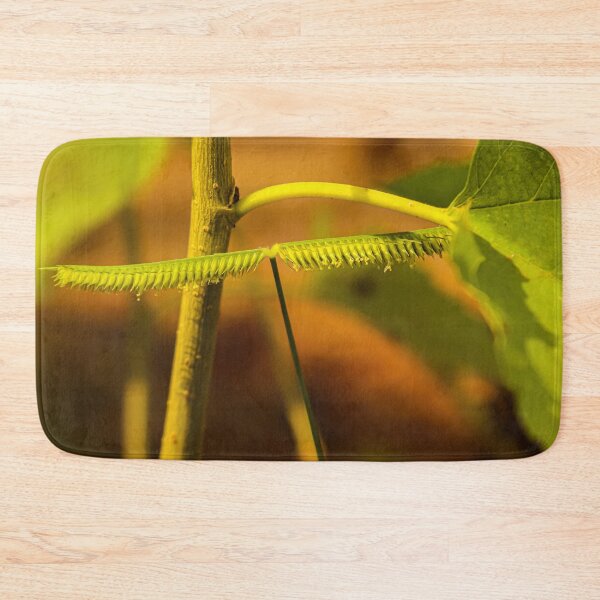 Item preview, Frayed leaf looks like a centipede. designed and sold by kall3bu.