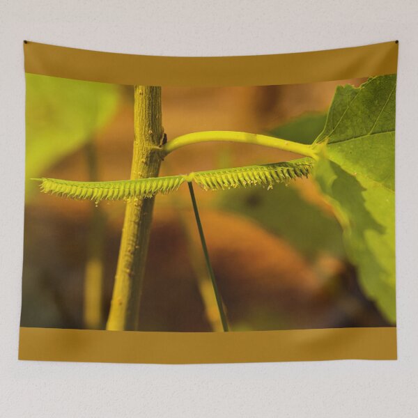 Item preview, Frayed leaf looks like a centipede. designed and sold by kall3bu.