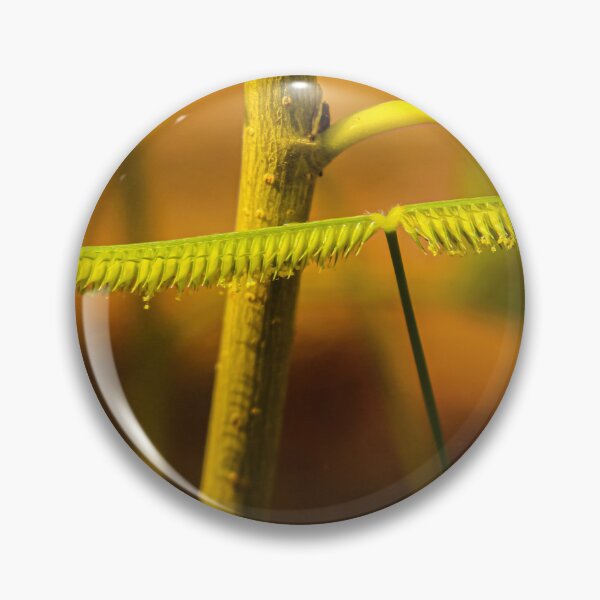 Item preview, Frayed leaf looks like a centipede. designed and sold by kall3bu.