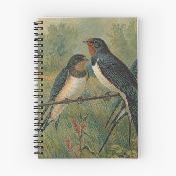 Item preview, Vintage Painting of Swalows - 1905 designed and sold by w-world-life-co.