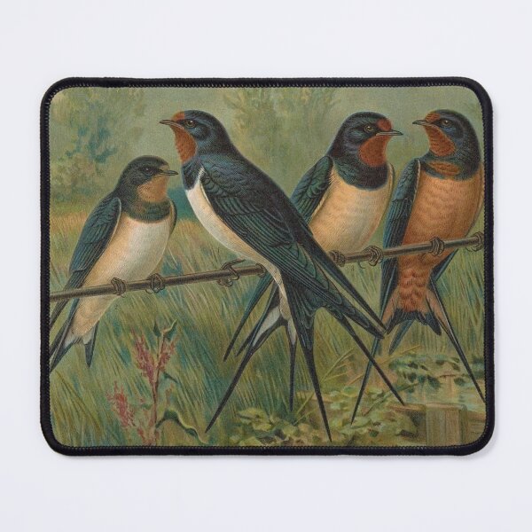 Item preview, Vintage Painting of Swalows - 1905 designed and sold by w-world-life-co.