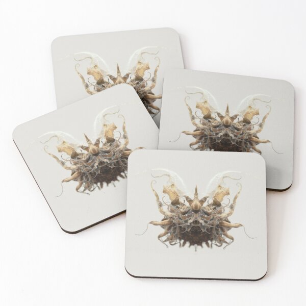 Item preview, Entomology - Insects - Nature - Specimens of the Future ENT No. 2526 designed and sold by Wendy Farrow.