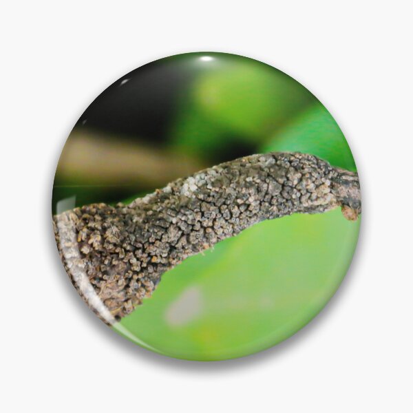 Item preview, Birds beak designed and sold by kall3bu.