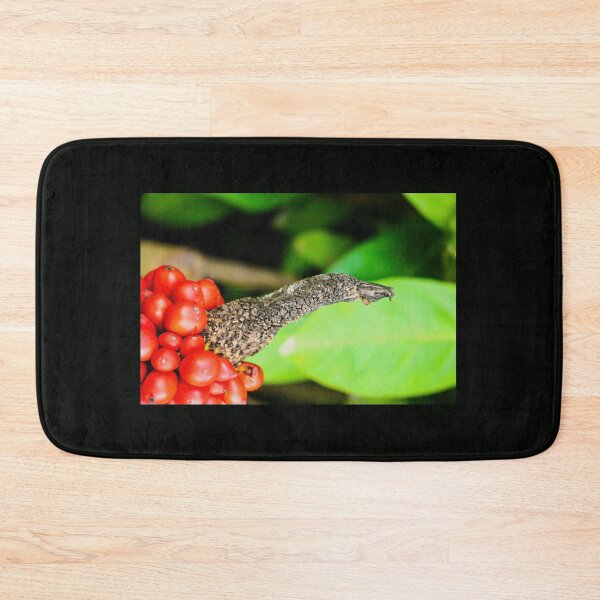 Item preview, Birds beak designed and sold by kall3bu.