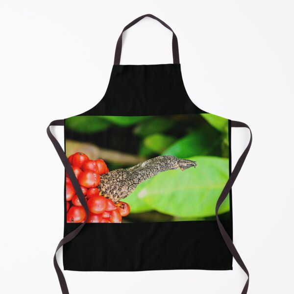 Item preview, Birds beak designed and sold by kall3bu.