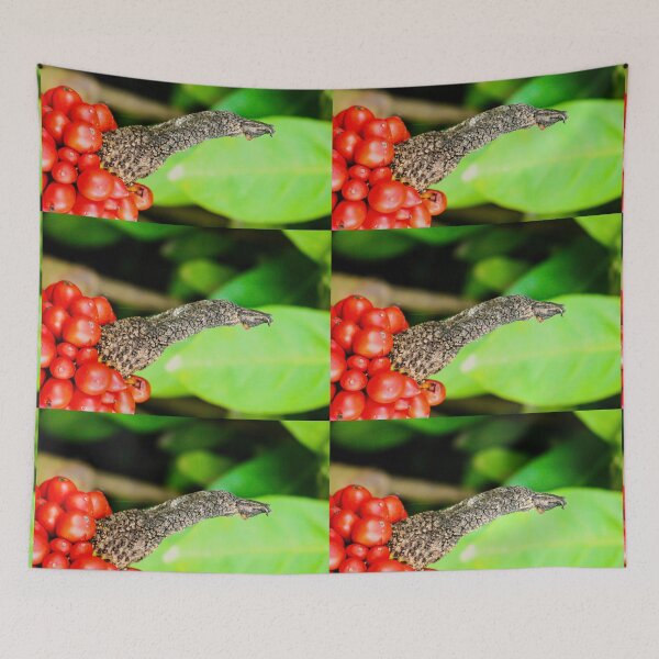 Item preview, Birds beak designed and sold by kall3bu.