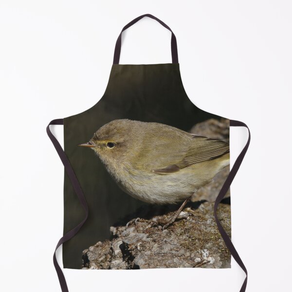 Item preview, Phylloscopus collybita designed and sold by Mythos57.