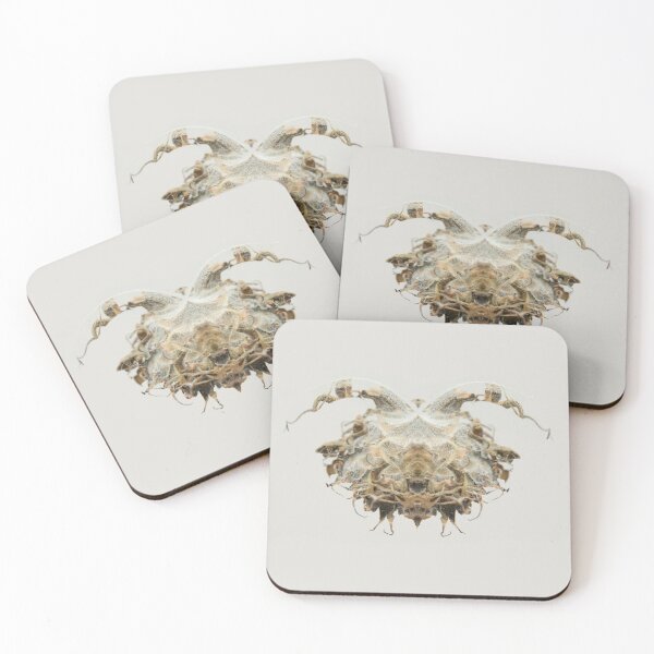 Item preview, Entomology - Insects - Bugs - Specimens of the Future - Specimen No. 2460 designed and sold by Wendy Farrow.