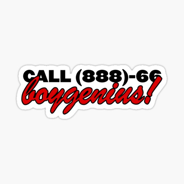 Boygenius Phone Sticker Sticker