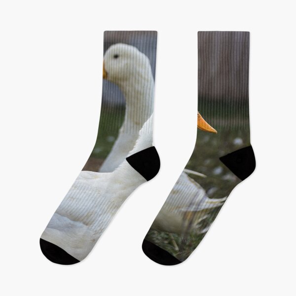 Item preview, Two White Inseparable Ducks at the Farm designed and sold by Family Journey with God.