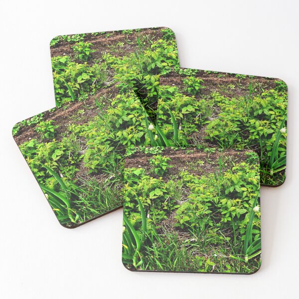 Item preview, Potato sprouts and spring garlic designed and sold by NaitoDiamond.