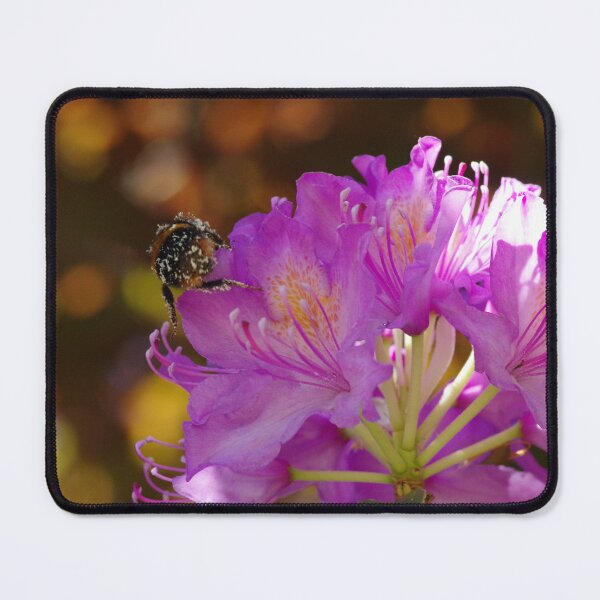 Item preview, BAD RAP ON RHODODENDRONS designed and sold by NICK COBURN PHILLIPS.