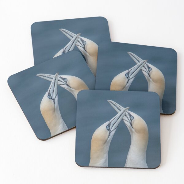 Item preview, Gannet Love Birds.  designed and sold by JoHackman.