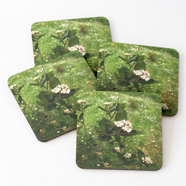 Item preview, The bloom of mountain ash rowan-tree  designed and sold by NaitoDiamond.