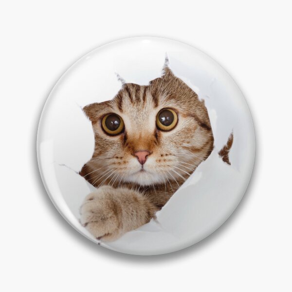 Item preview, Guard Kitty on Duty, Cute Cat on Duty, Beware of Cat Sign designed and sold by lightnamu.