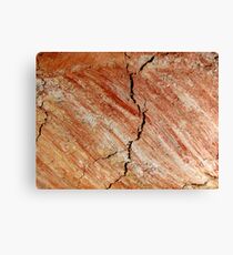 Rain Canvas Print