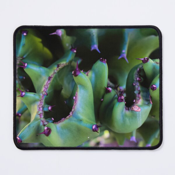 Item preview, Abstract view from a cactus part designed and sold by kall3bu.