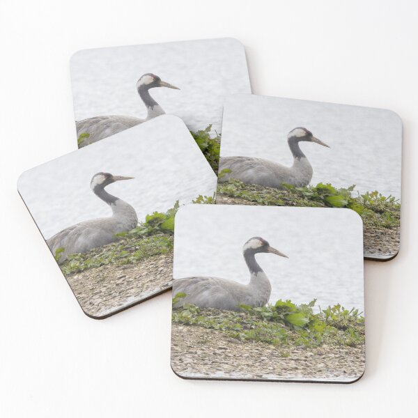 Item preview, Common Crane designed and sold by LaurenTucker.