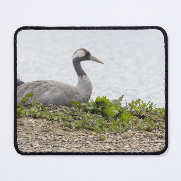 Item preview, Common Crane designed and sold by LaurenTucker.