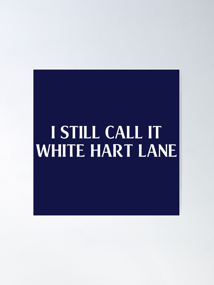 Poster, Quadro Tottenham Hotspur FC - Bale em