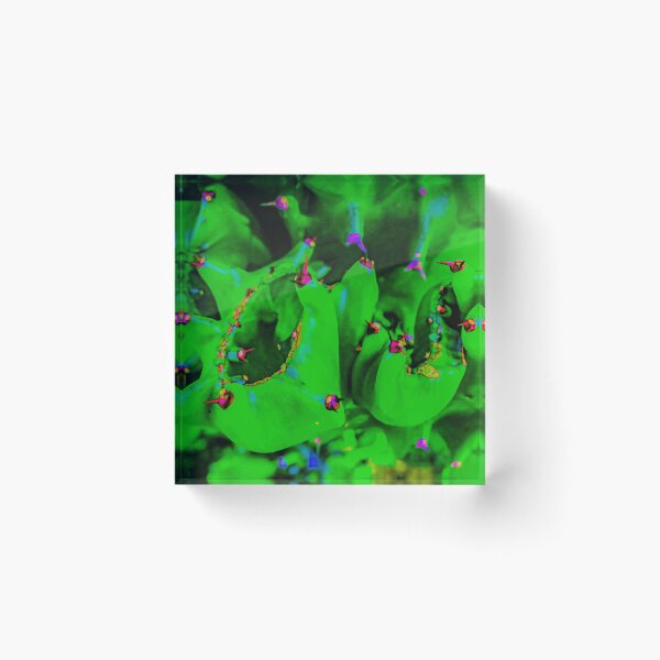 Item preview, Abstract shapes from a cactus in bright green designed and sold by kall3bu.