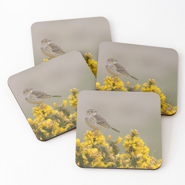 Item preview, Meadow Pipit designed and sold by LaurenTucker.