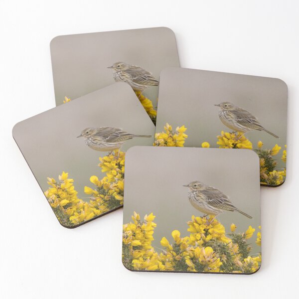 Item preview, Meadow Pipit designed and sold by LaurenTucker.