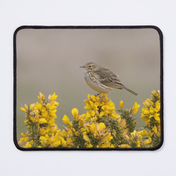 Item preview, Meadow Pipit designed and sold by LaurenTucker.