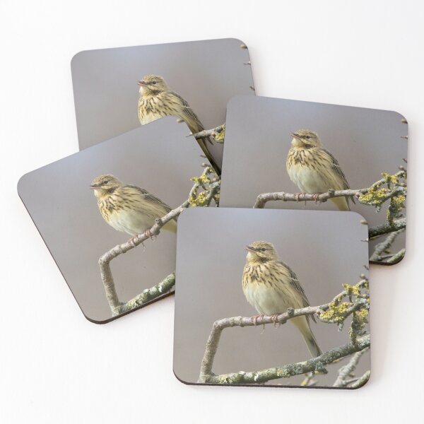 Item preview, Tree Pipit designed and sold by LaurenTucker.