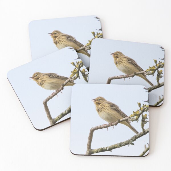 Item preview, Tree Pipit designed and sold by LaurenTucker.
