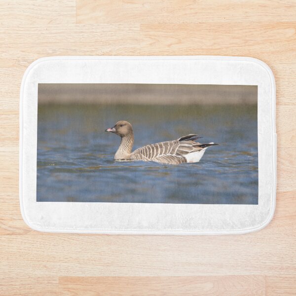 Item preview, Pink Footed Goose designed and sold by LaurenTucker.