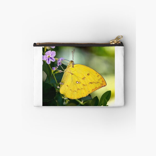 Item preview, Clouded Yellow (Celias croceus) designed and sold by DonMc.