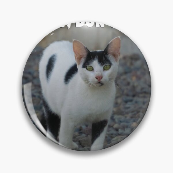 Item preview, A cat's life designed and sold by likbatonboot.