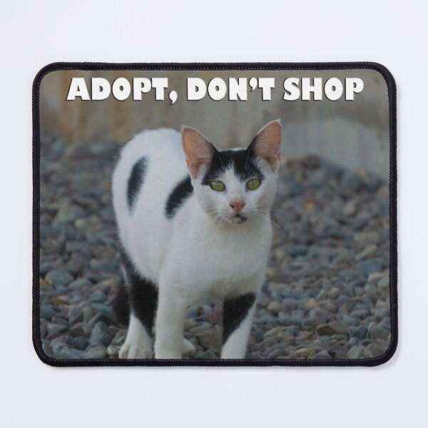 Item preview, A cat's life designed and sold by likbatonboot.