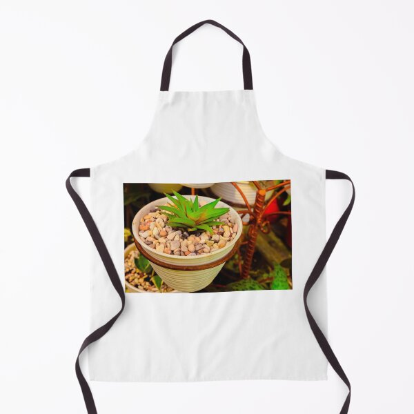 Item preview, Green succulent in white pot with white stones. designed and sold by kall3bu.
