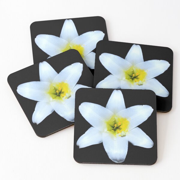 Item preview, Easter Lily Open Bloom - black background designed and sold by Louise-Mae.