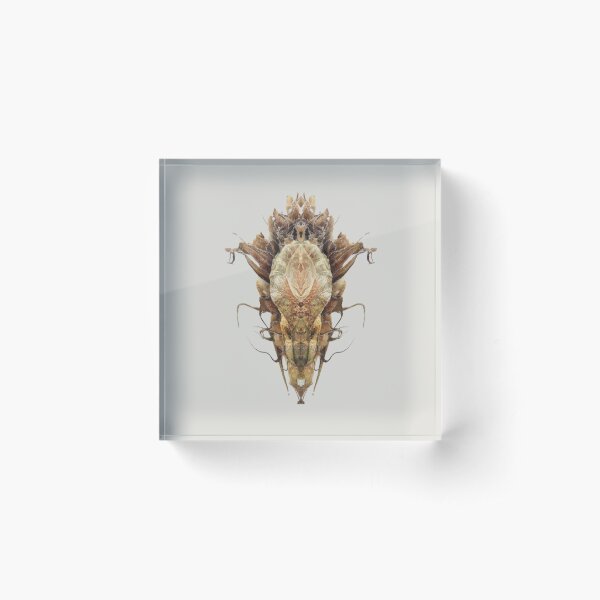 Item preview, Entomology - Insects - Bugs - Specimens of the Future - ENT No. 2548 designed and sold by Wendy Farrow.