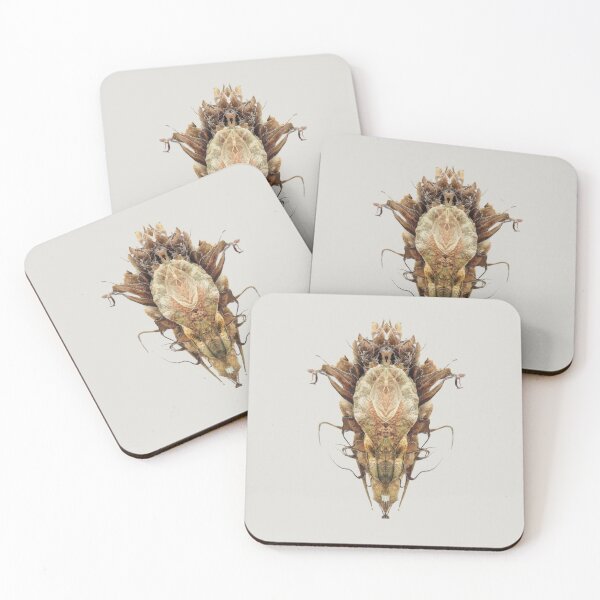 Item preview, Entomology - Insects - Bugs - Specimens of the Future - ENT No. 2548 designed and sold by Wendy Farrow.