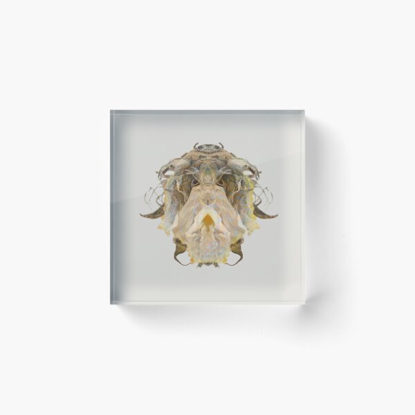 Item preview, Entomology - Insects - Bugs - Specimens of the Future - ENT No. 2412 designed and sold by Wendy Farrow.