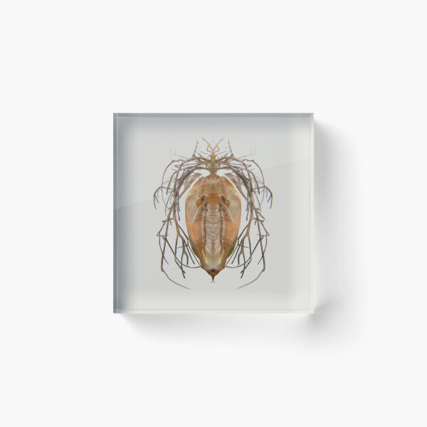 Item preview, Entomology - Insects - Bugs - Specimens of the Future - ENT No. 1314 designed and sold by Wendy Farrow.