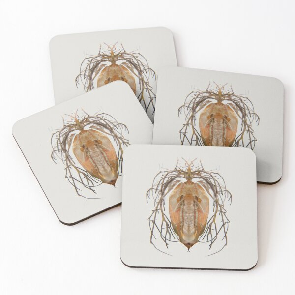 Item preview, Entomology - Insects - Bugs - Specimens of the Future - ENT No. 1314 designed and sold by Wendy Farrow.