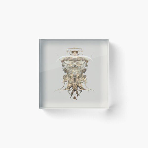 Item preview, Entomology - Insects - Bugs - Specimens of the Future - ENT No. 2490 designed and sold by Wendy Farrow.