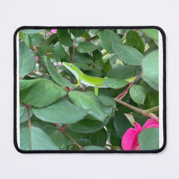 Item preview, This little guy designed and sold by Ragen Gee.