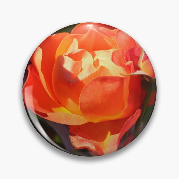 Item preview, A rose in the sunshine colorful floral vertical nature lovers designed and sold by eddiebarronshop.