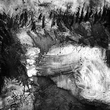 Aperçu de l'œuvre Tree Line de Randy Sprout Fine Art