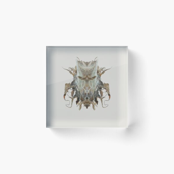 Item preview, Entomology - Insects - Bugs - Specimens of the Future - ENT No. 2480 designed and sold by Wendy Farrow.