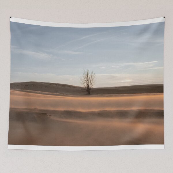 Item preview, Silver Lake - Windy Sunset designed and sold by betapixels.