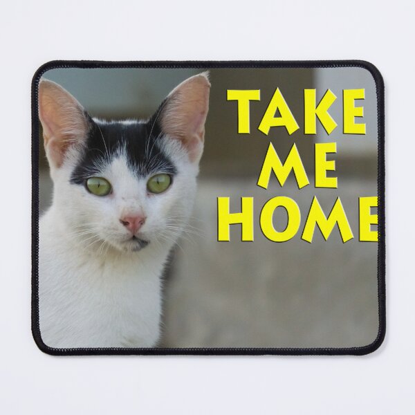 Item preview, A cat's life designed and sold by likbatonboot.