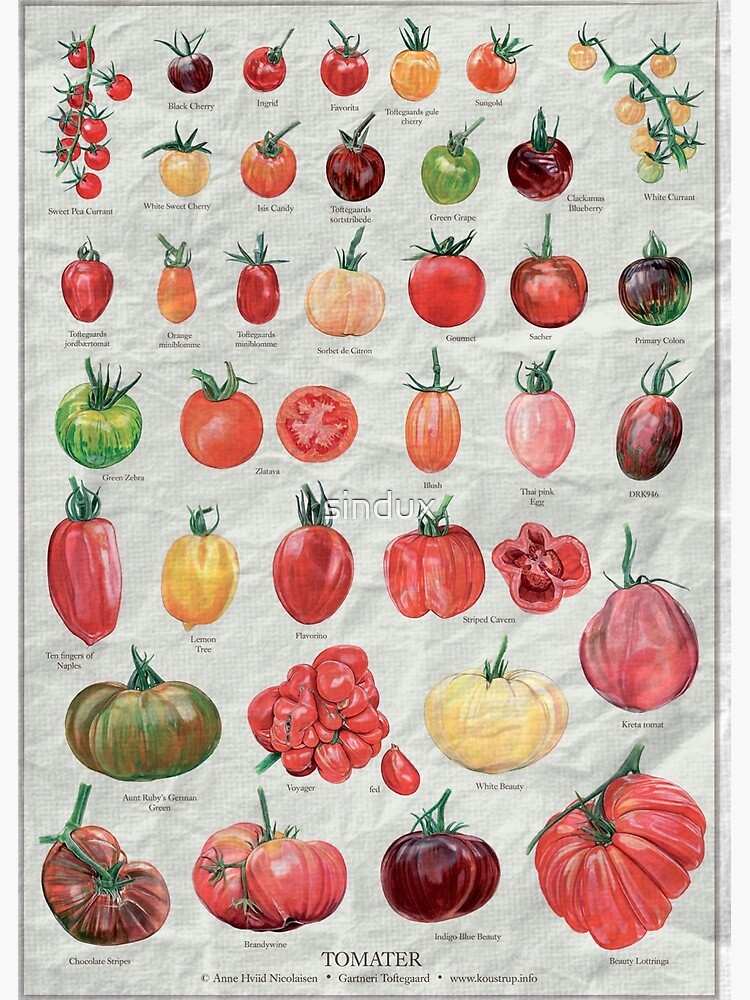 Tomato chart Poster