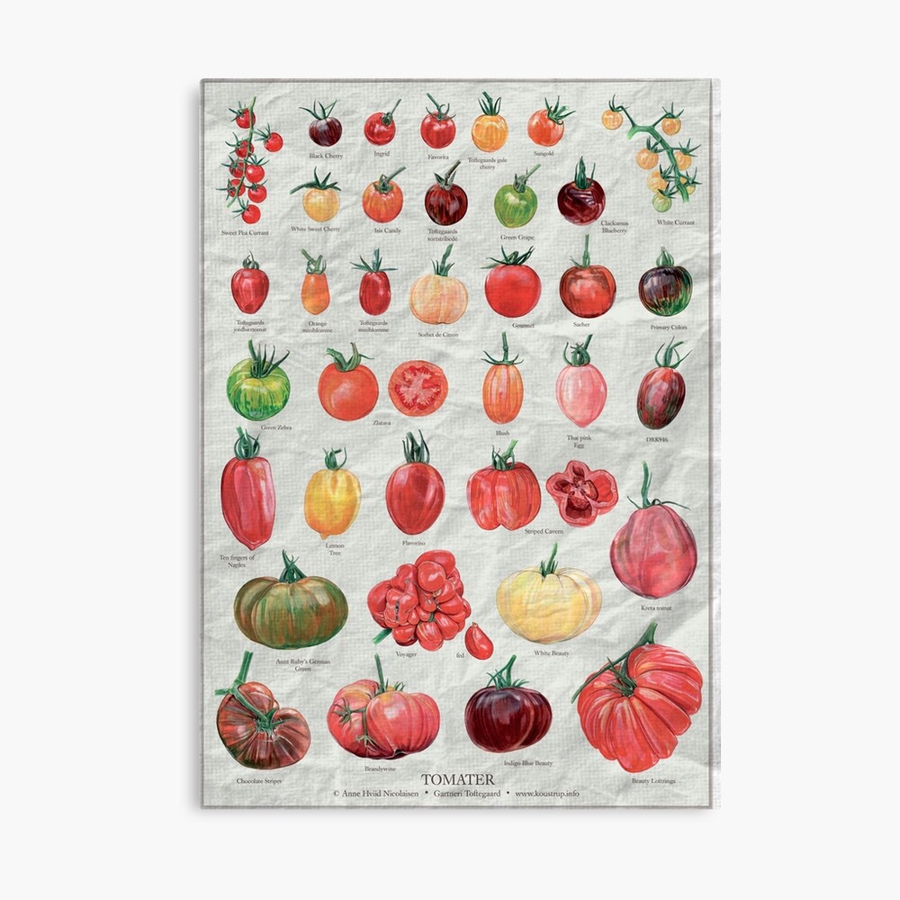 Tomato chart Poster